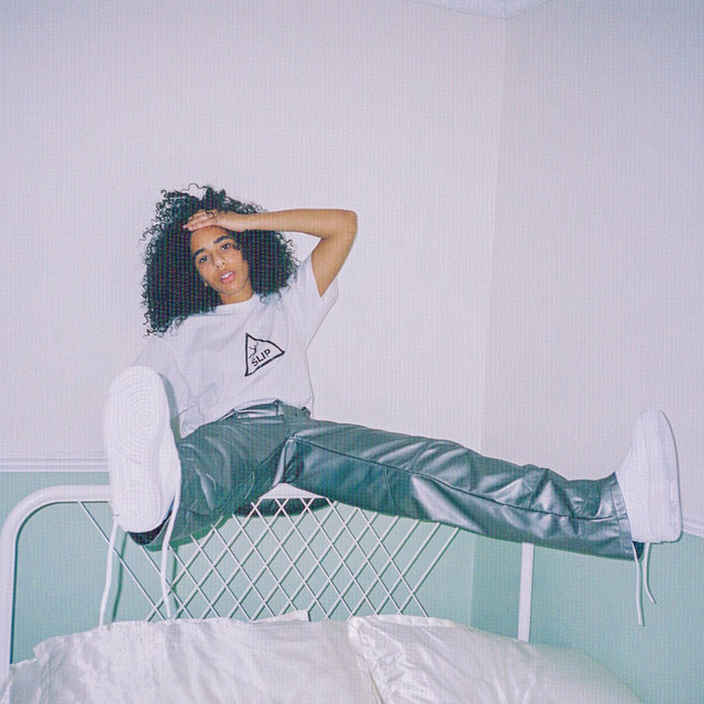 Slip cover
