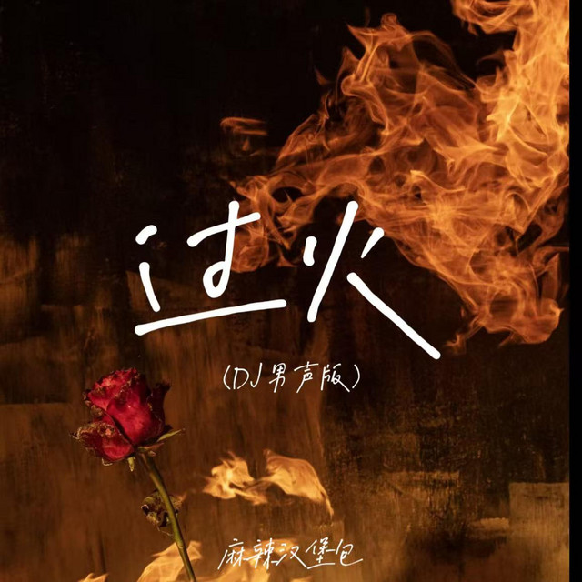 过火 (DJ男声版) cover art