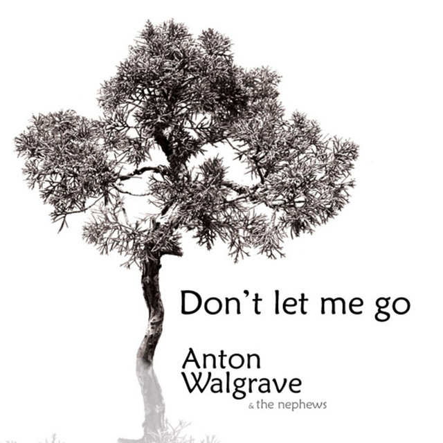 Don't Let Me Go cover