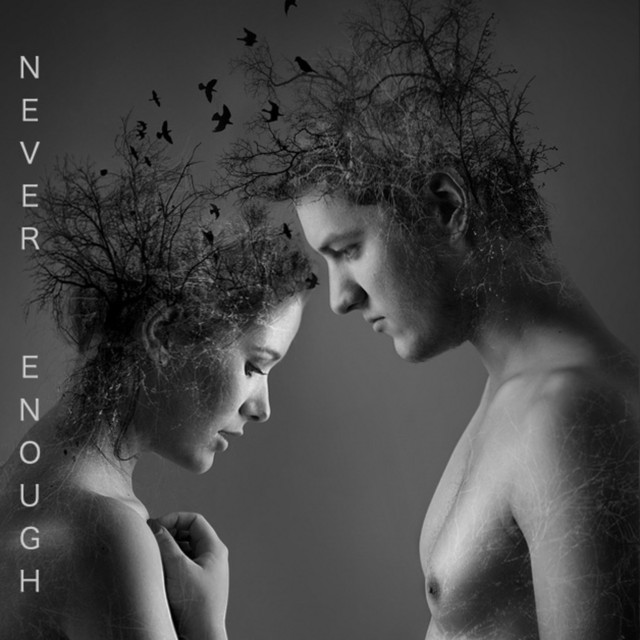 Never Enough cover art