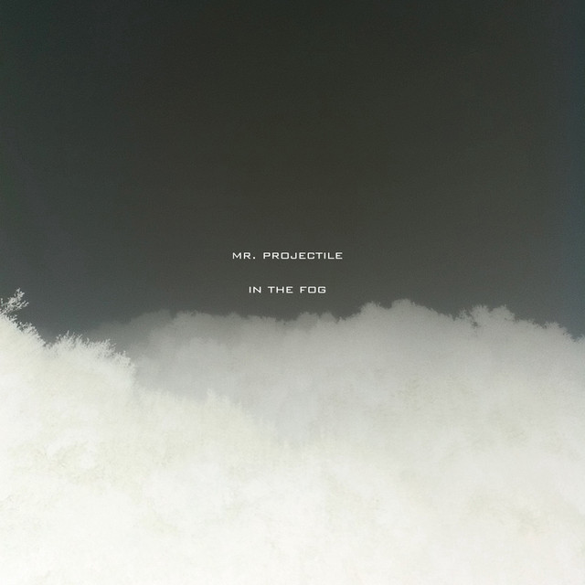 In the Fog cover art
