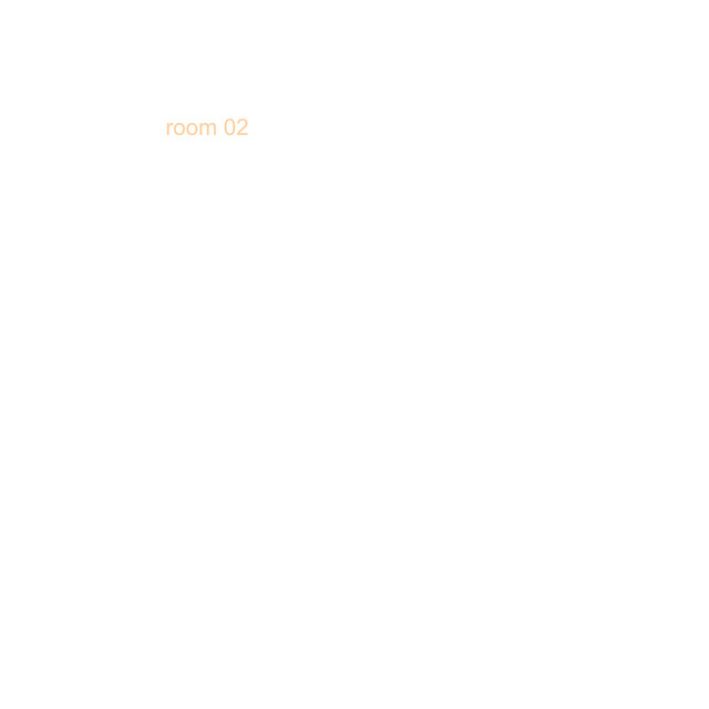 room 02 cover art