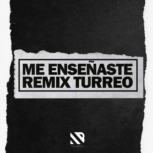 Me Enseñaste (Turreo)