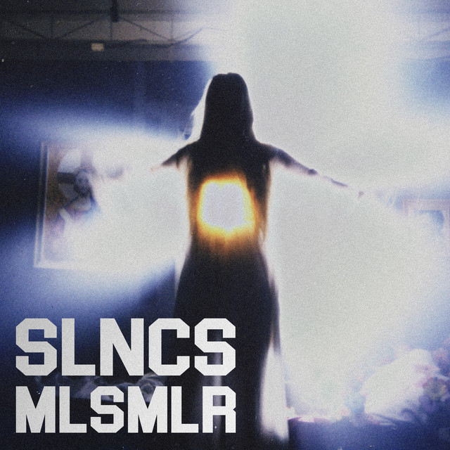 Обкладинка: Mlsmlr — SLncS