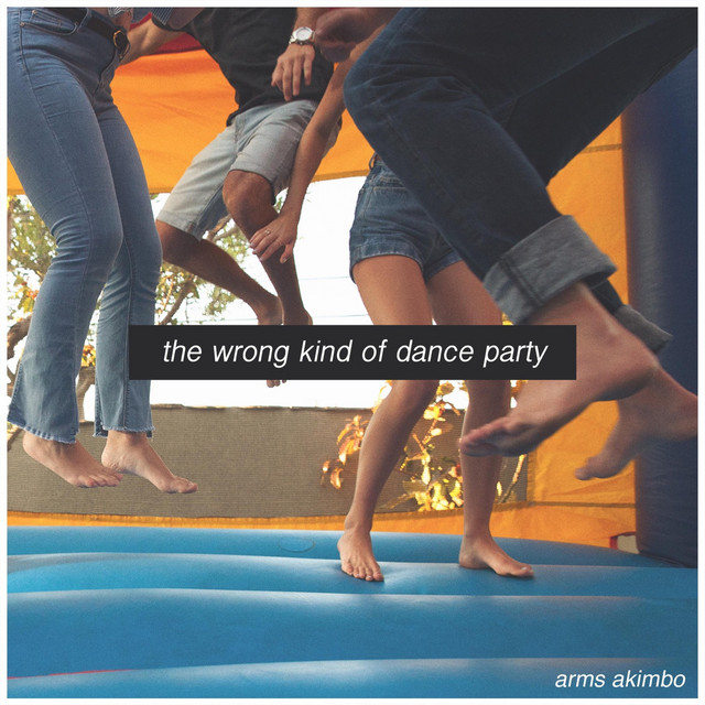 The Wrong Kind of Dance Party cover