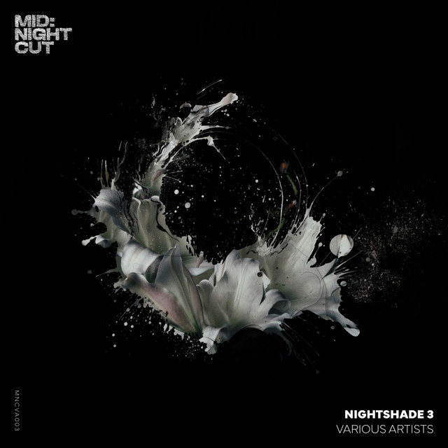 Black Horse album art