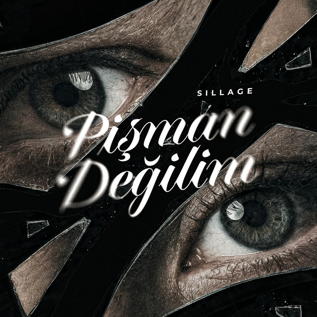 Pi̇şman Deği̇li̇m cover