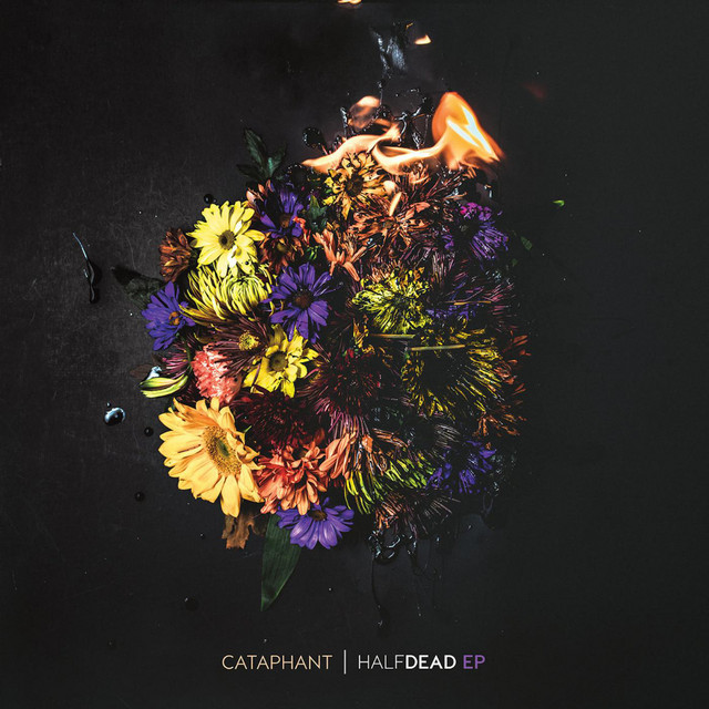 Cataphant