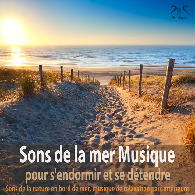 Sons de la Mer Musique Pour S'endormir Et Se Détendre: Sons de la Nature en Bord de Mer, Musique de Relaxation Paix Intérieure cover art