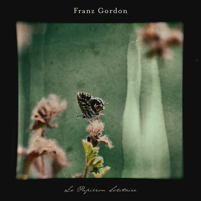 Le Papillon Solitaire by Franz Gordon