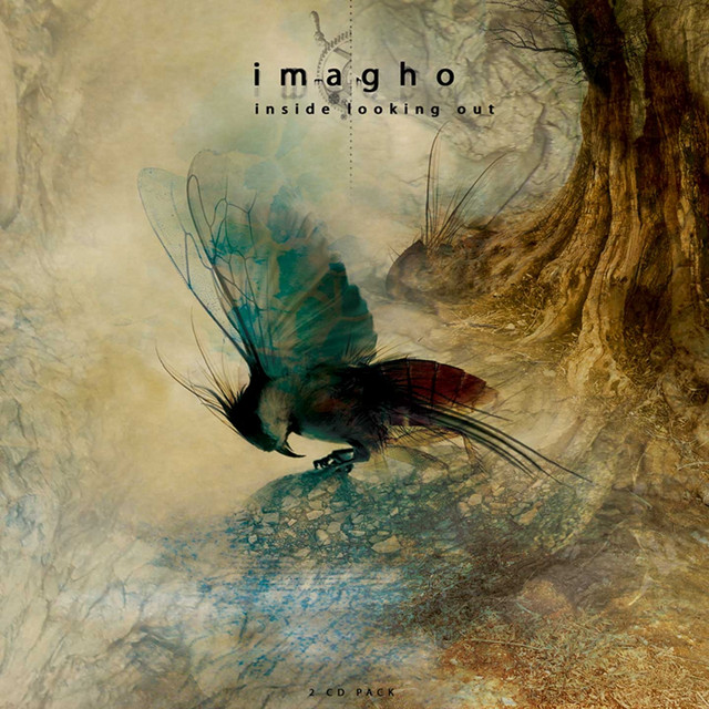 Inside looking out cover art