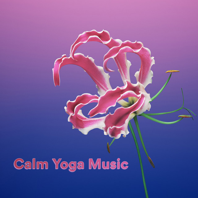 Calm Yoga Music cover art
