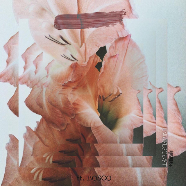 Evanescent cover art