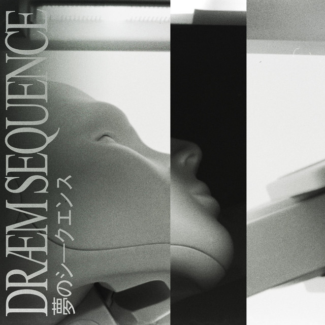 DREAM SEQUENCE (CONTINUOUS MIX) cover art