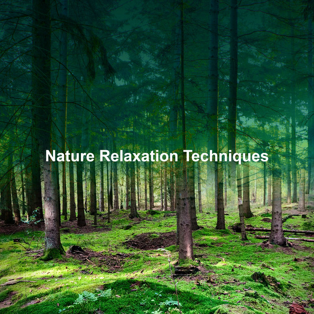 Nature Relaxation Techniques - Album by Relaxing Nature Sounds ...