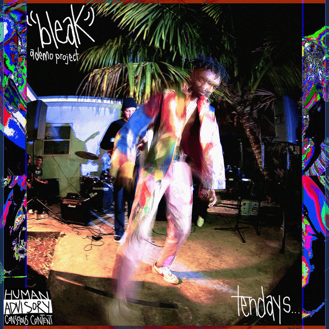 Bleak: A Demo Project cover art