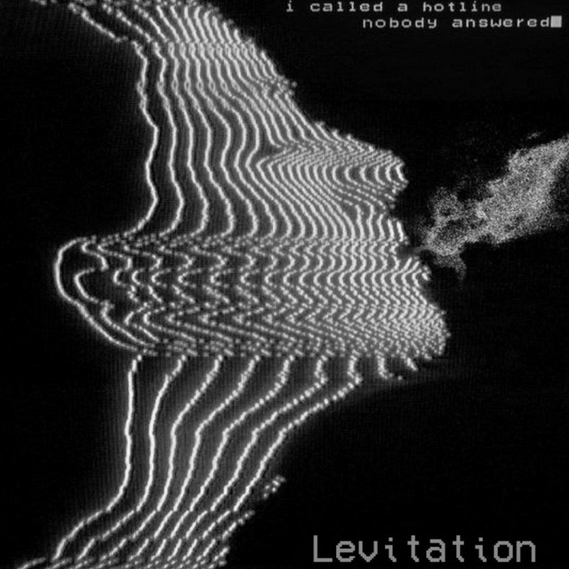 Обкладинка: Levitation — DudePlaya