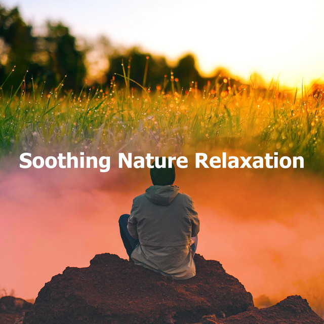 Tiny Toads - song and lyrics by Relax Meditation Sleep | Spotify