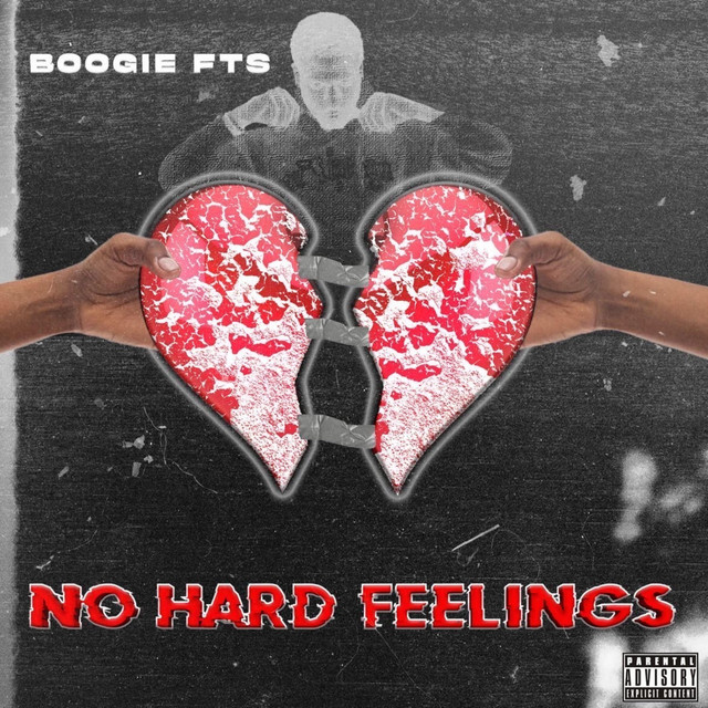 No Hard Feelings cover art
