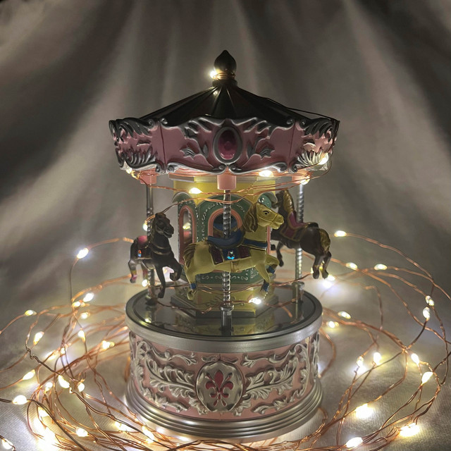merry-go-round cover