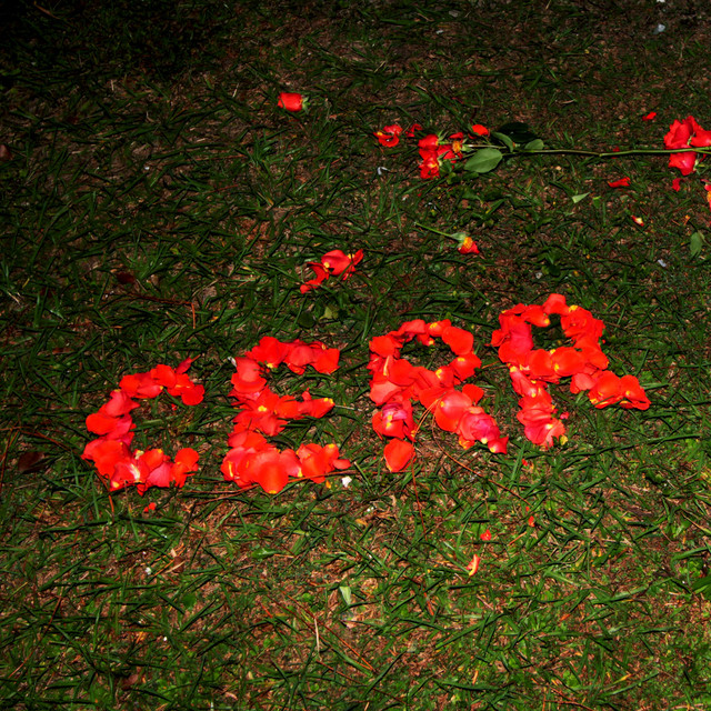 We Love You Cerr cover art