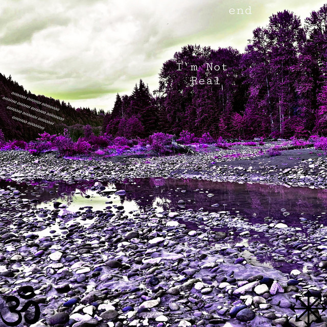 1M N0T R34L cover art