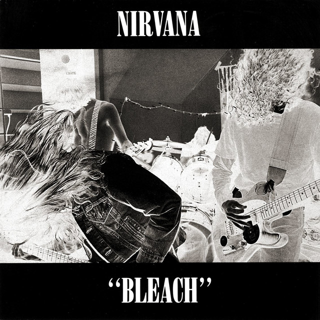 Bleach cover art