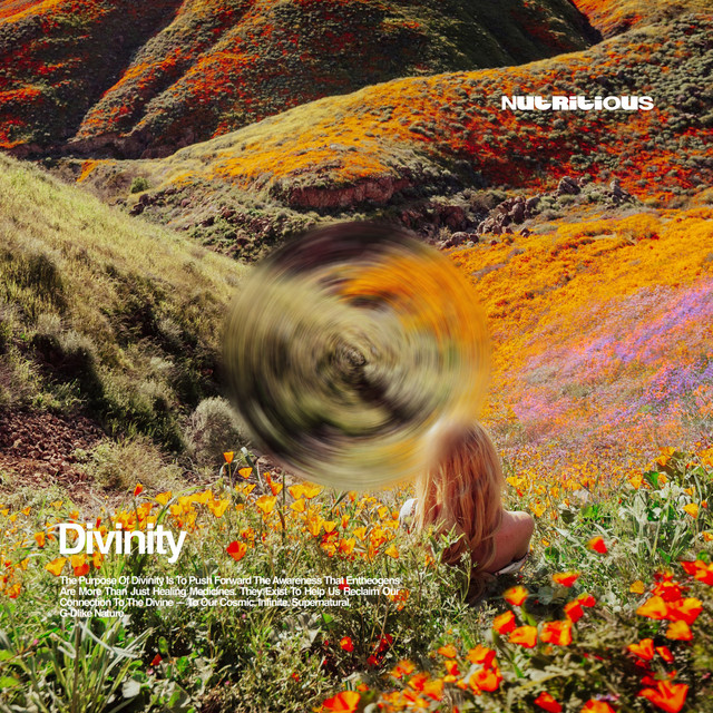 Divinity cover art