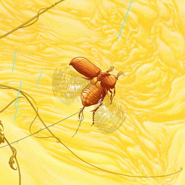 Junebug cover art