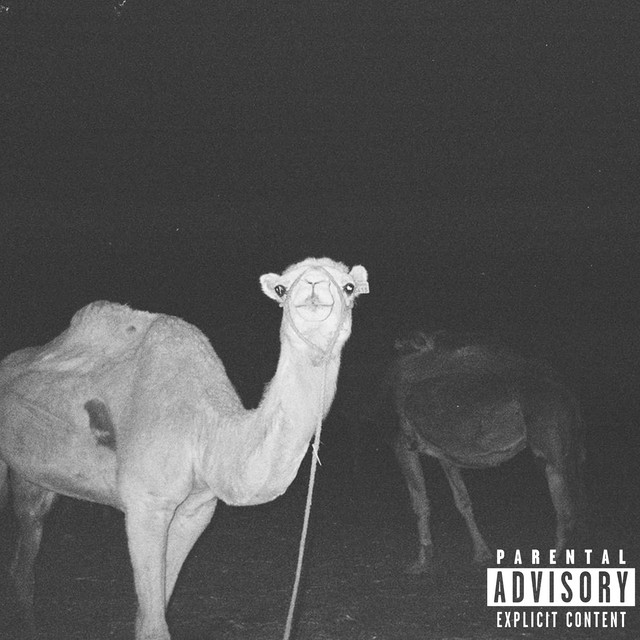 TestMe! cover art