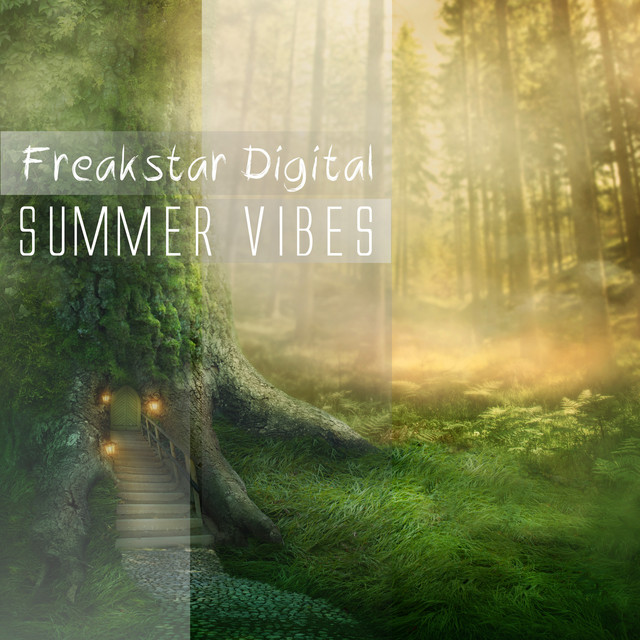 Freakstar Digital Summer Vibes cover