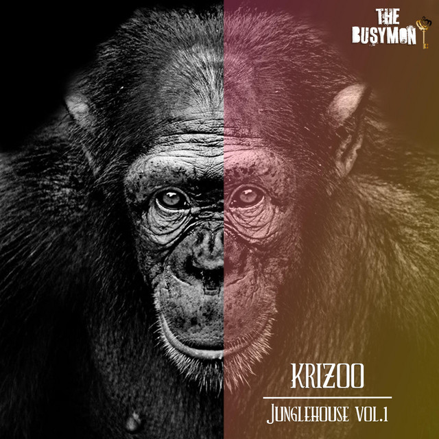 JungleHouse, Vol. 1 cover art