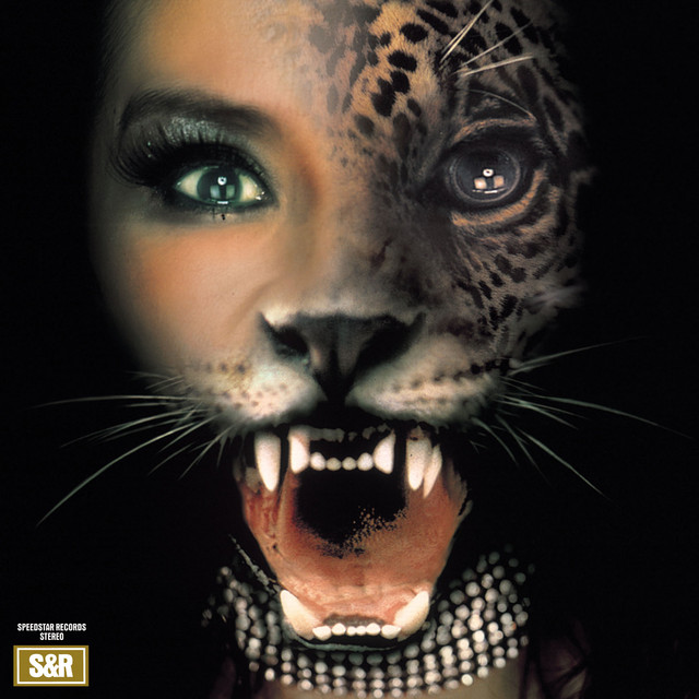 ROCK THE ROCK - Album by SHEENA & THE ROKKETS | Spotify