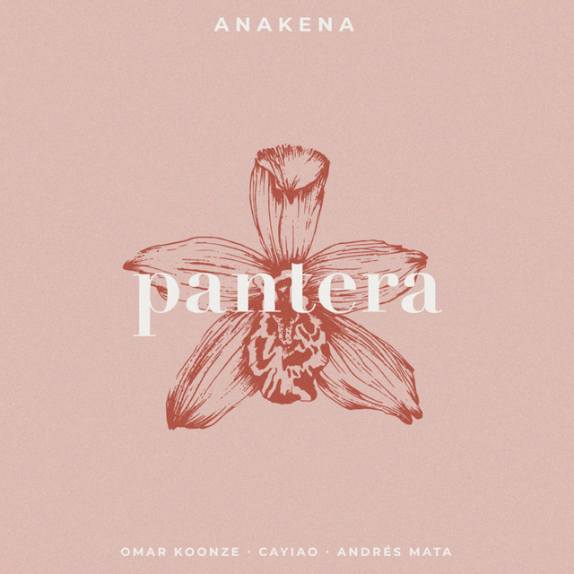 Pantera - Acústica