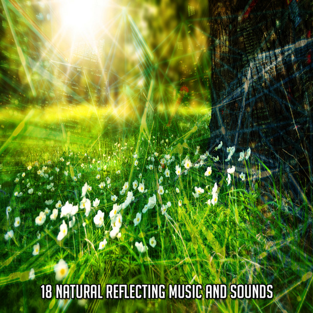 18 Natural Reflecting Music and Sounds - Album by Dog Music | Spotify