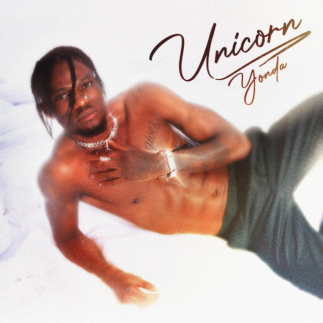Unicorn cover art