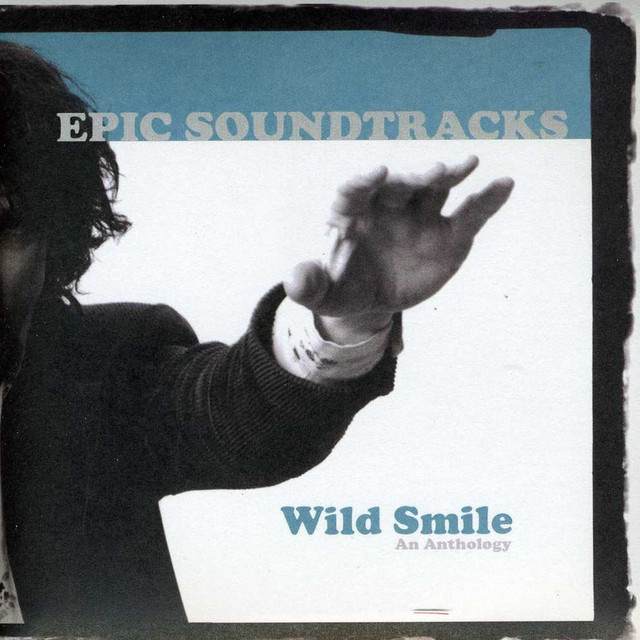 Wild Smile cover