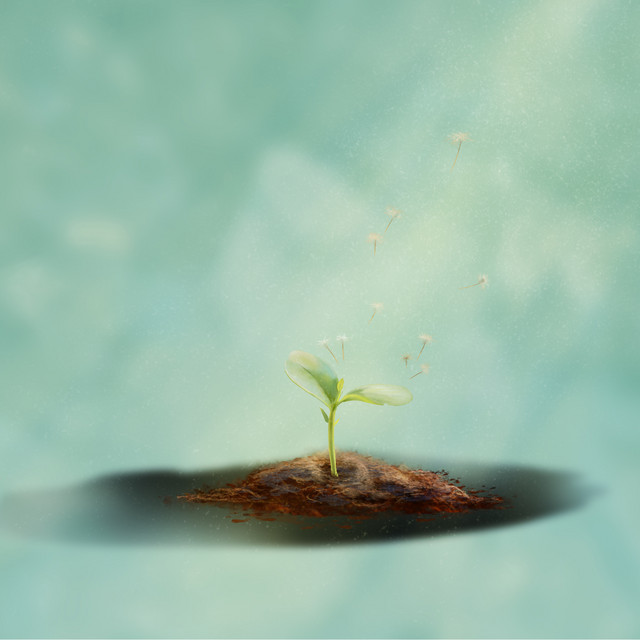 I Still Know You by Jacob Lee