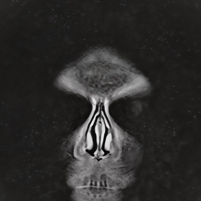 Drawbacks&Conclusions cover art