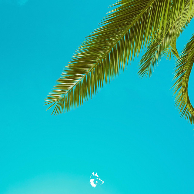 Good Vibes Only