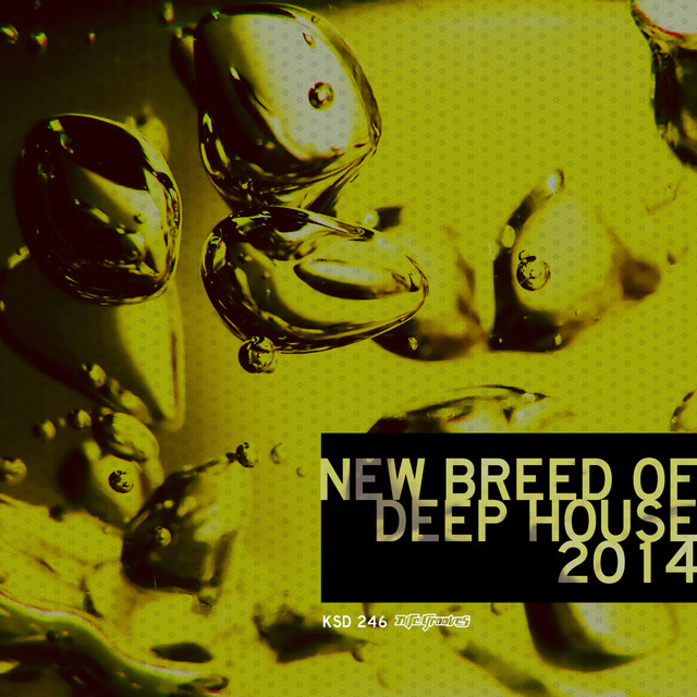 New Breed of Deep House Vol. 3 cover art