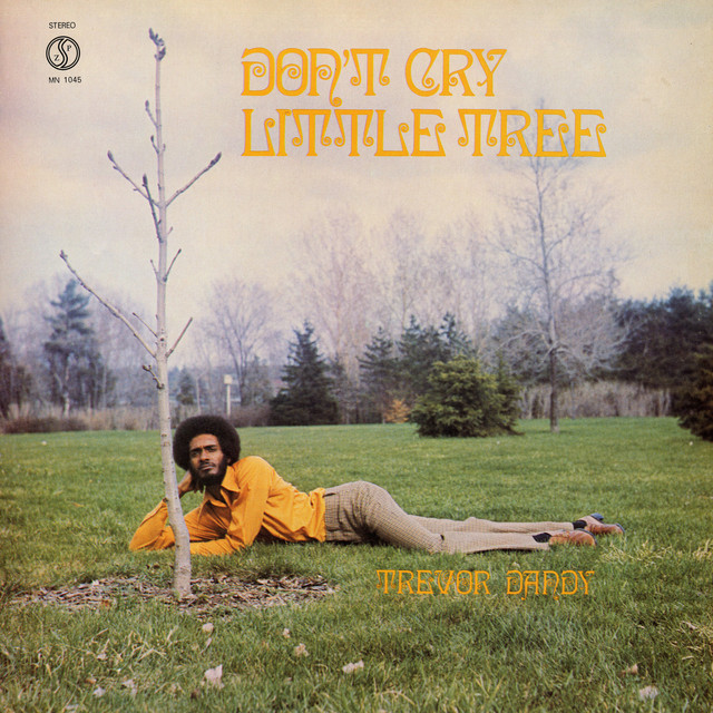 Don't Cry Little Tree cover art