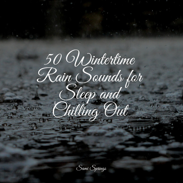 50 Wintertime Rain Sounds for Sleep and Chilling Out - Album by Ambient ...