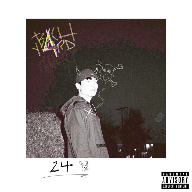 24 cover art