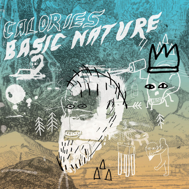 Basic Nature cover