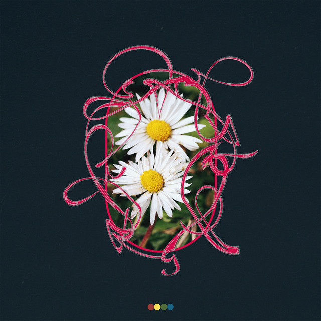 Rewild album image