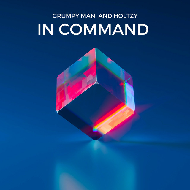 In Command cover art