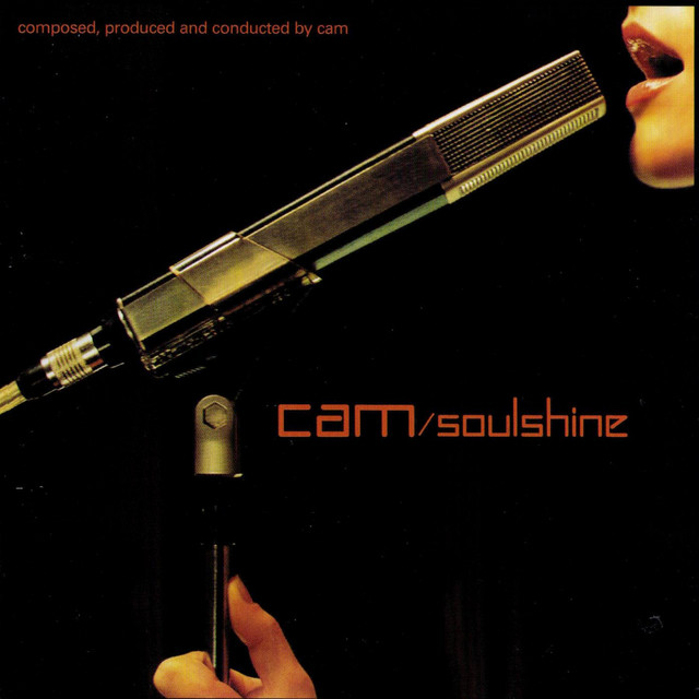soulshine 2枚組レコード cam Dj