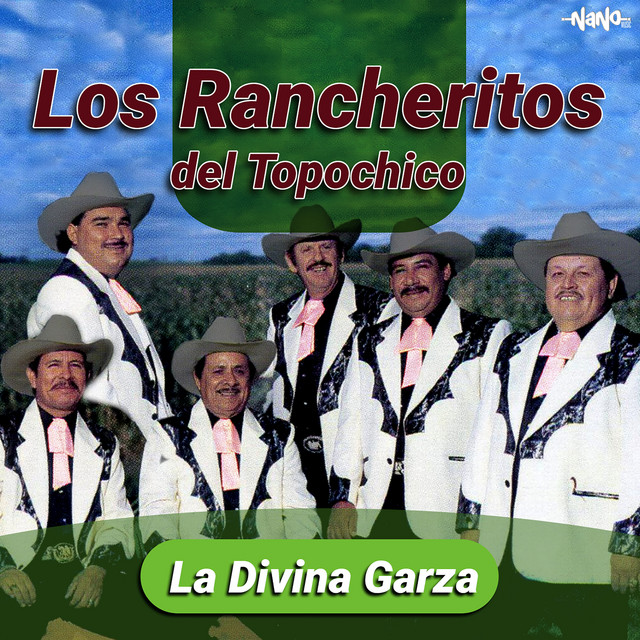 La Divina Garza cover art