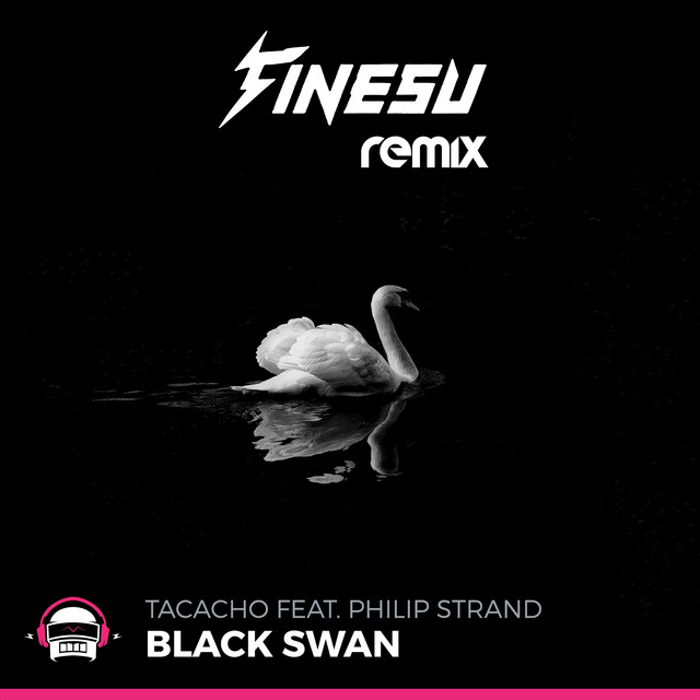 Black Swan (Finesu Remix) cover